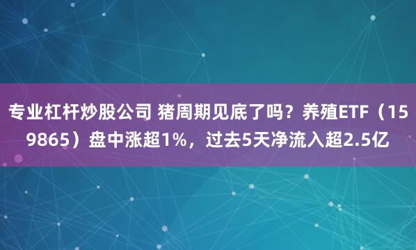 专业杠杆炒股公司 猪周期见底了吗？养殖ETF（159865）盘中涨超1%，过去5天净流入超2.5亿