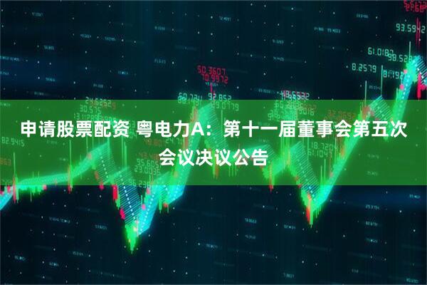 申请股票配资 粤电力A：第十一届董事会第五次会议决议公告