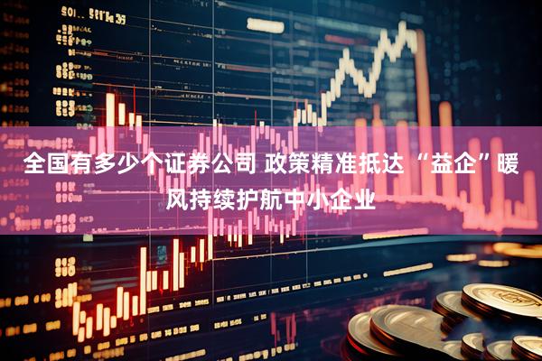 全国有多少个证券公司 政策精准抵达 “益企”暖风持续护航中小企业