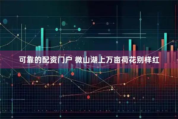 可靠的配资门户 微山湖上万亩荷花别样红